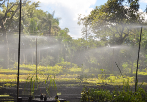Semana do Meio Ambiente começa na segunda-feira