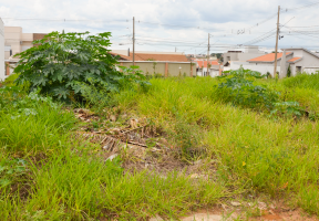 Prefeitura convoca proprietários de terrenos para limpeza