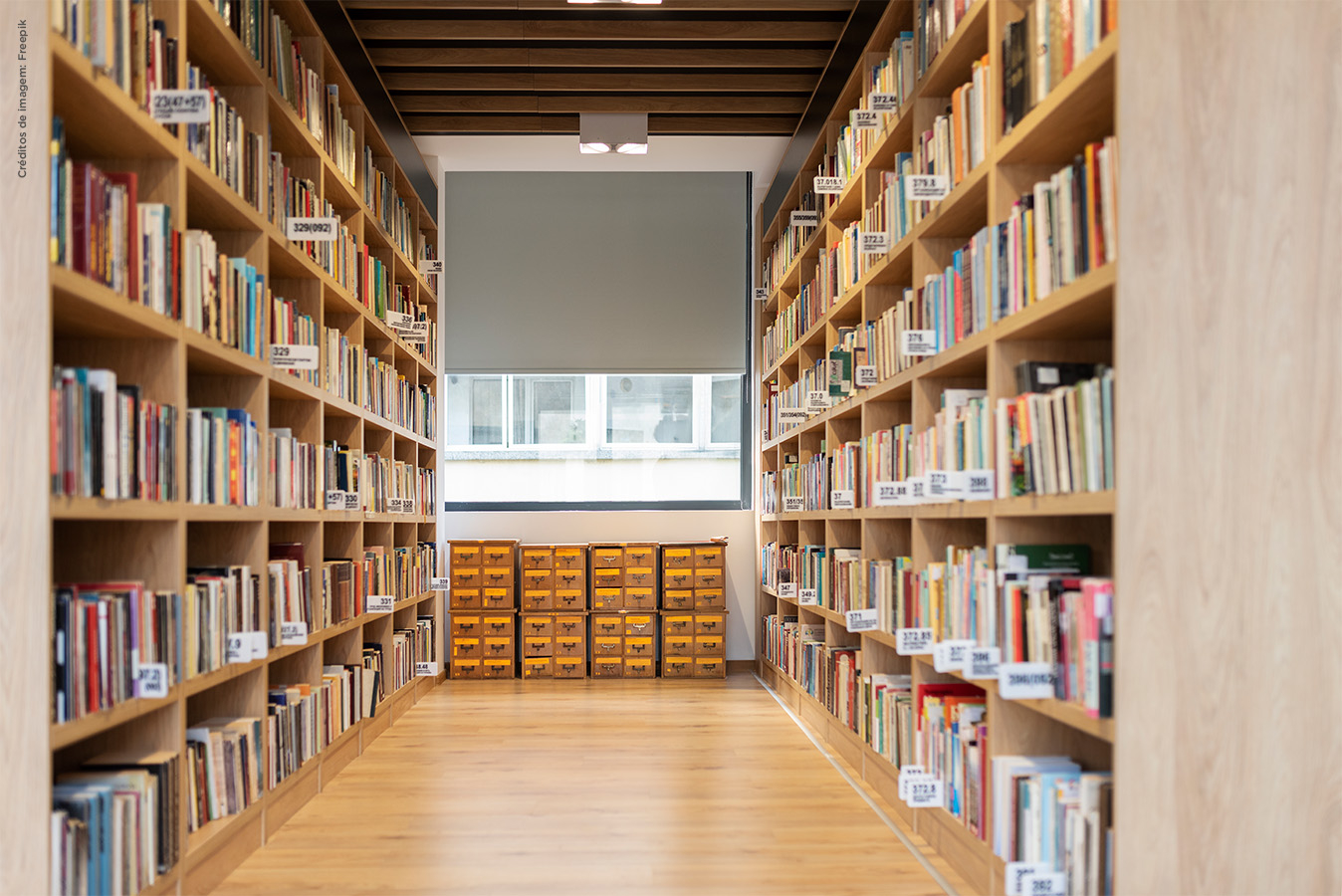 biblioteca original